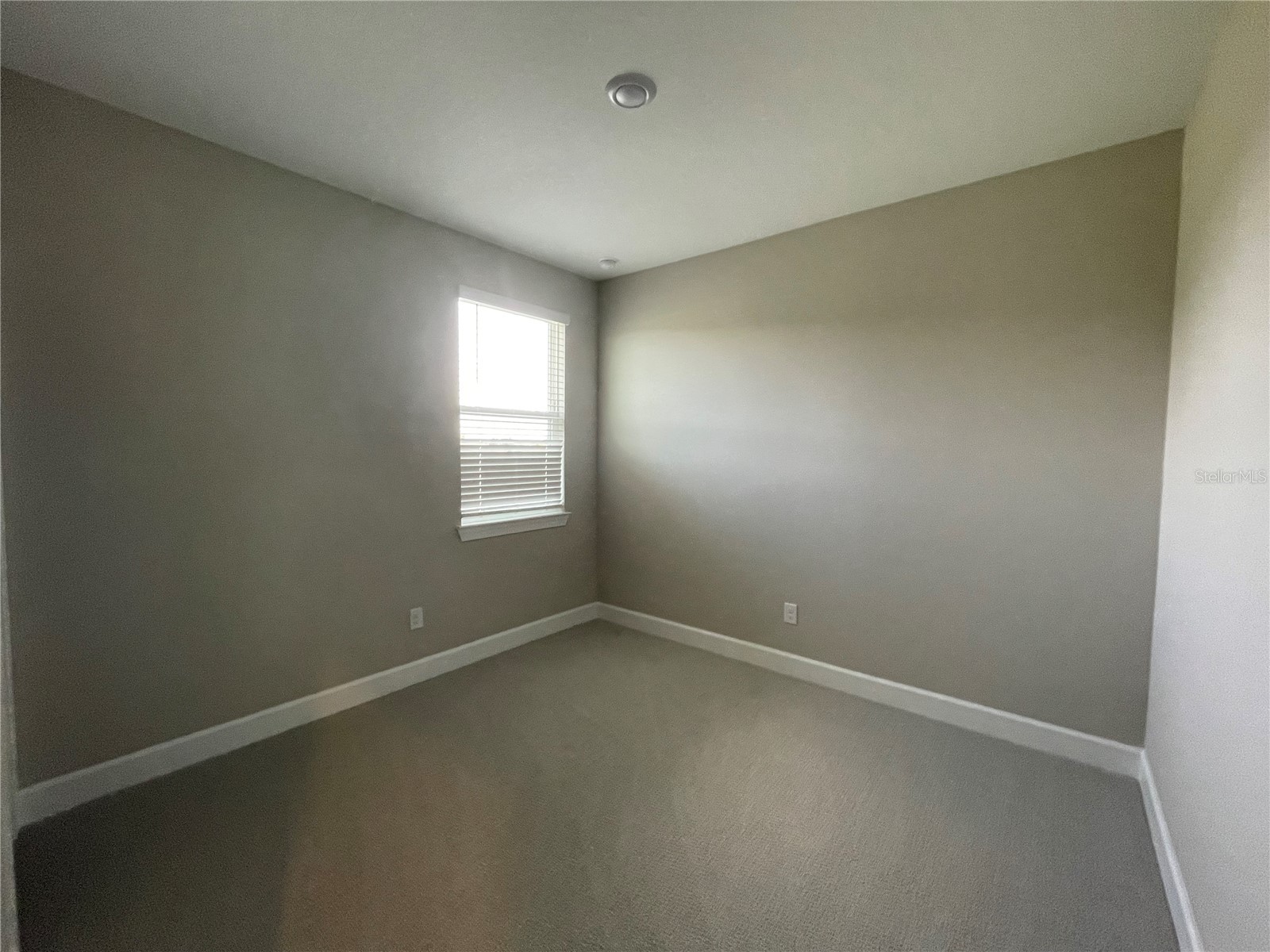 34286 Evergreen Hill Court Wesley Chapel FL 33545 TB8509029 image17