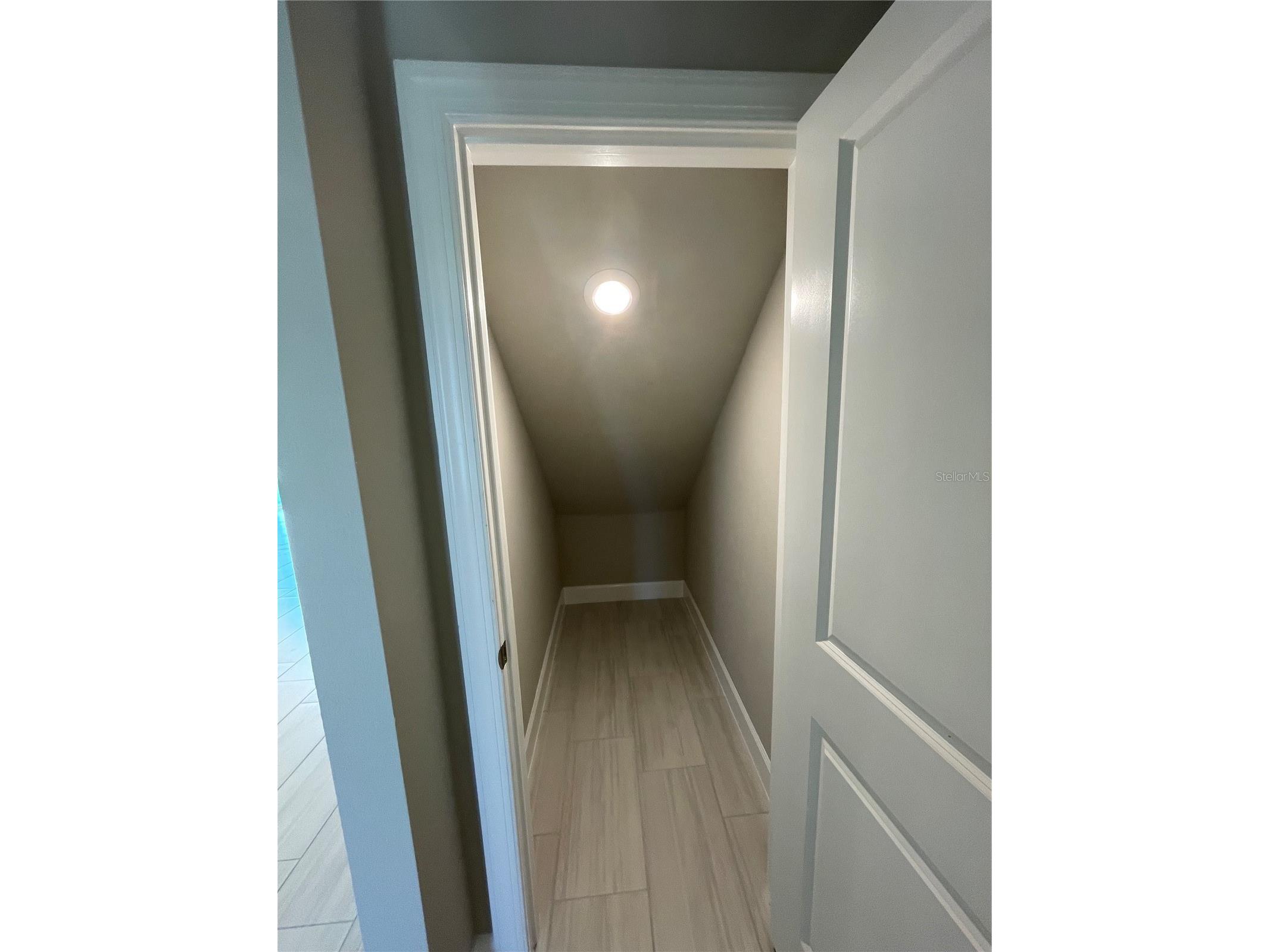 34286 Evergreen Hill Court Wesley Chapel FL 33545 TB8509029 image20