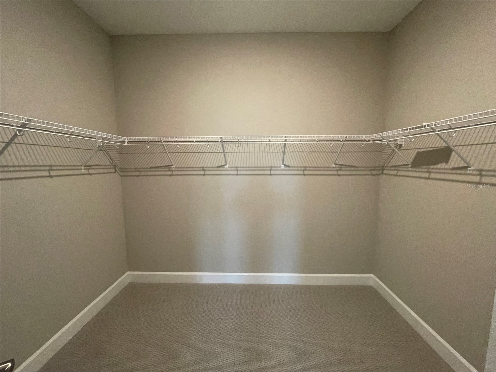 34286 Evergreen Hill Court Wesley Chapel FL 33545 TB8509029 image21