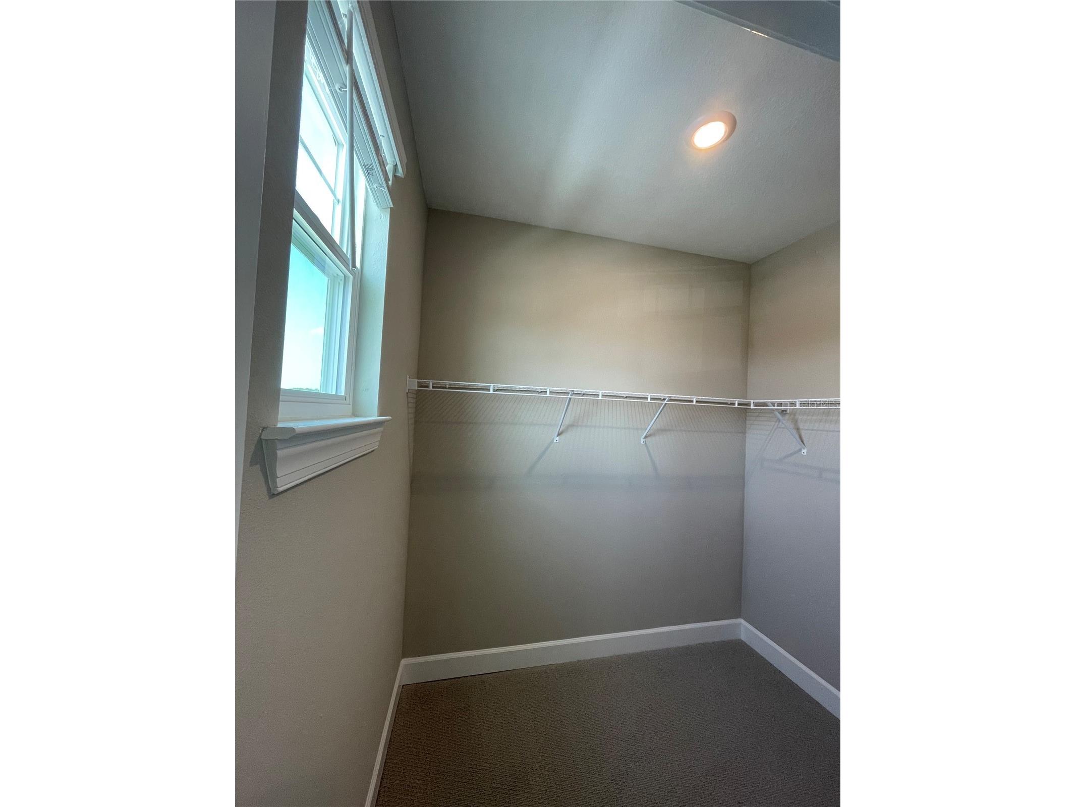 34286 Evergreen Hill Court Wesley Chapel FL 33545 TB8509029 image22