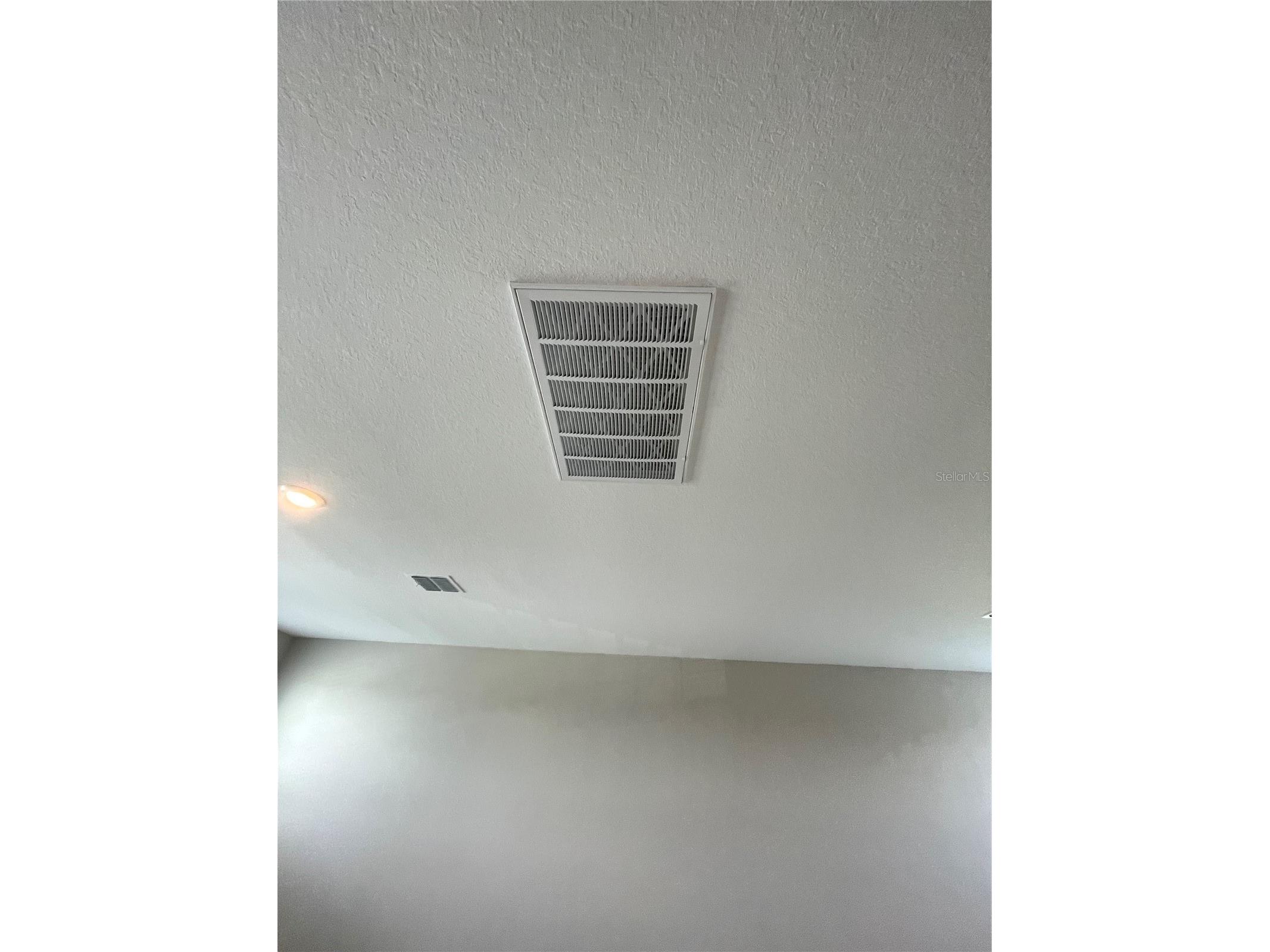 34286 Evergreen Hill Court Wesley Chapel FL 33545 TB8509029 image24