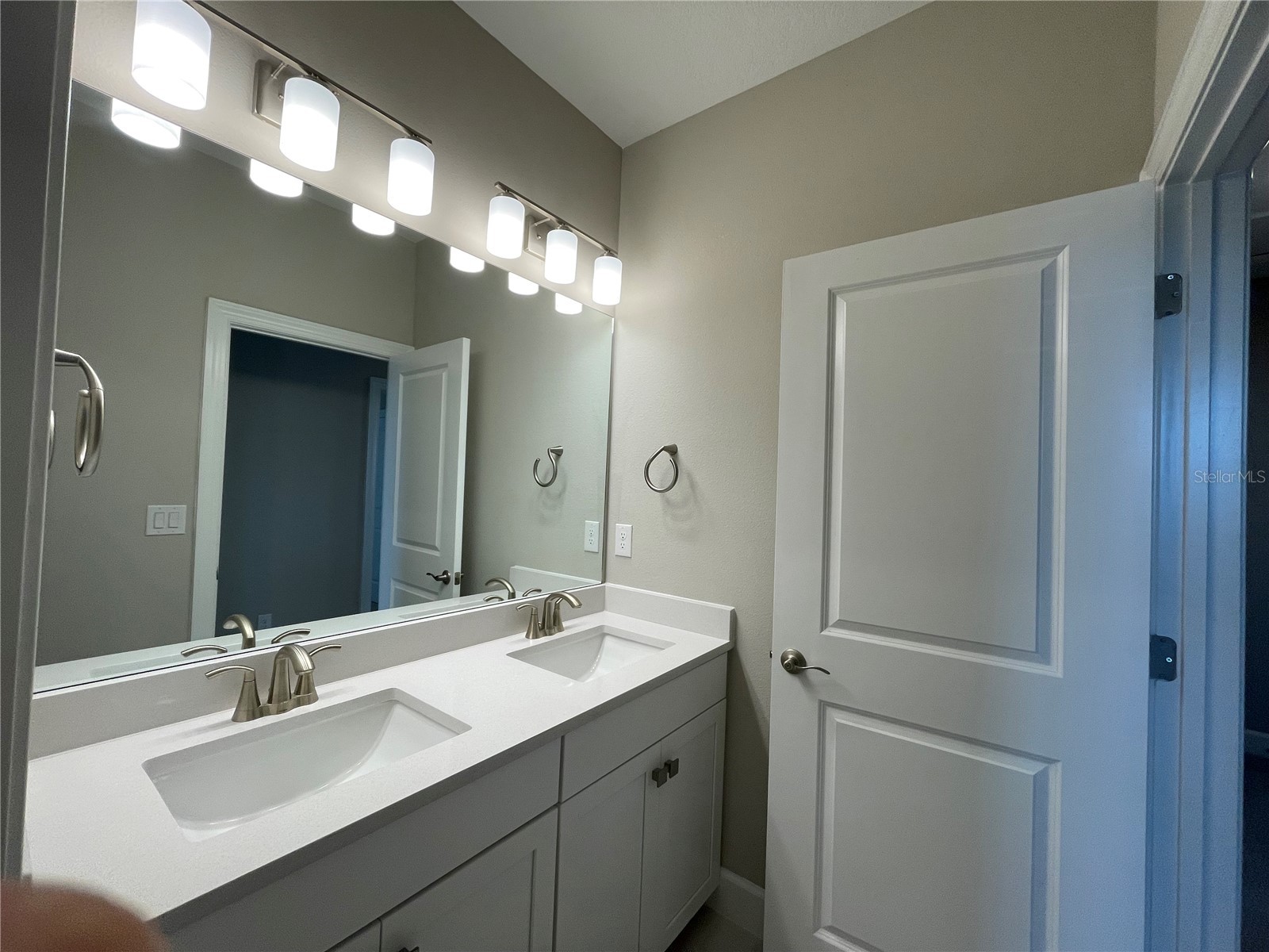 34286 Evergreen Hill Court Wesley Chapel FL 33545 TB8509029 image27