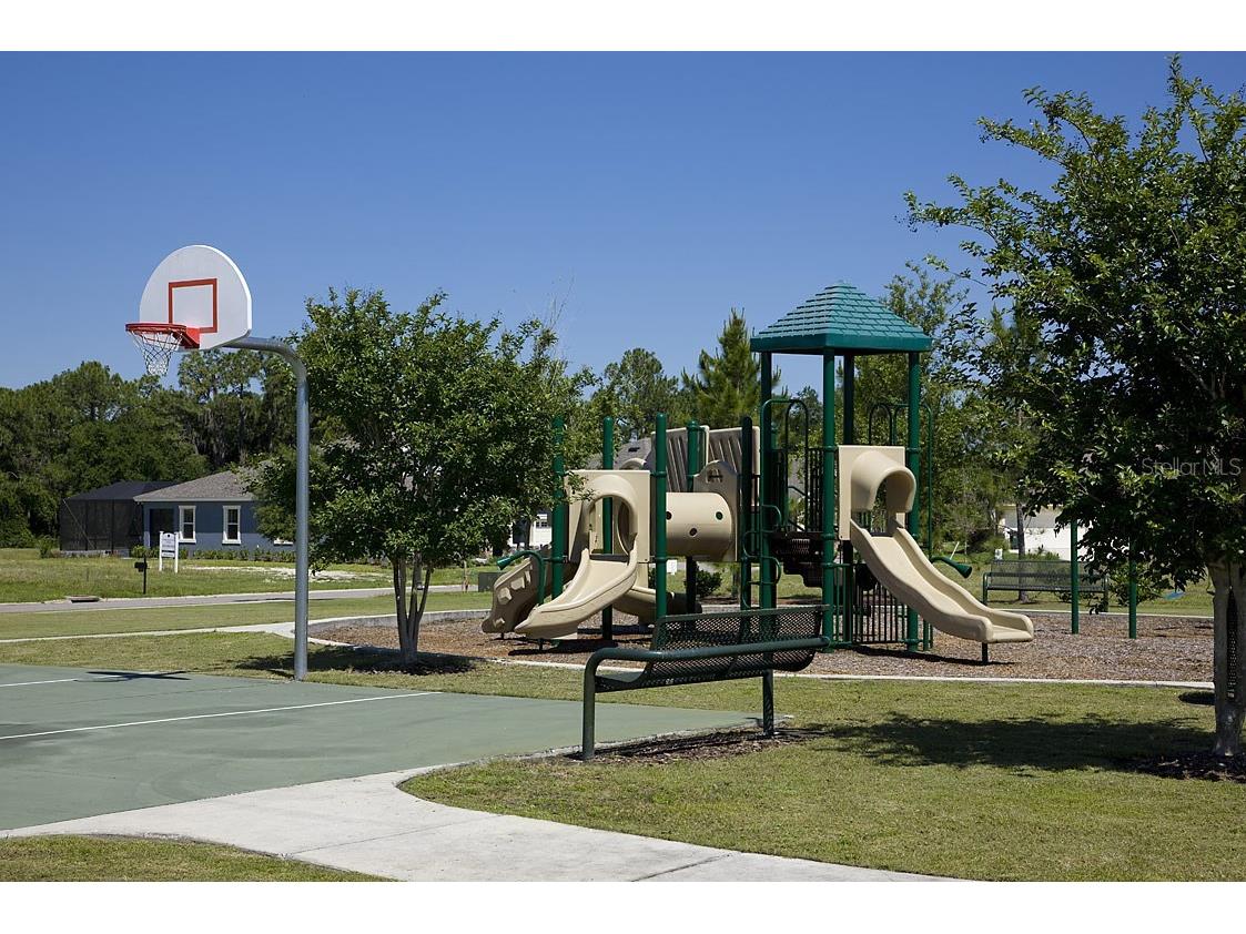 34286 Evergreen Hill Court Wesley Chapel FL 33545 TB8509029 image41