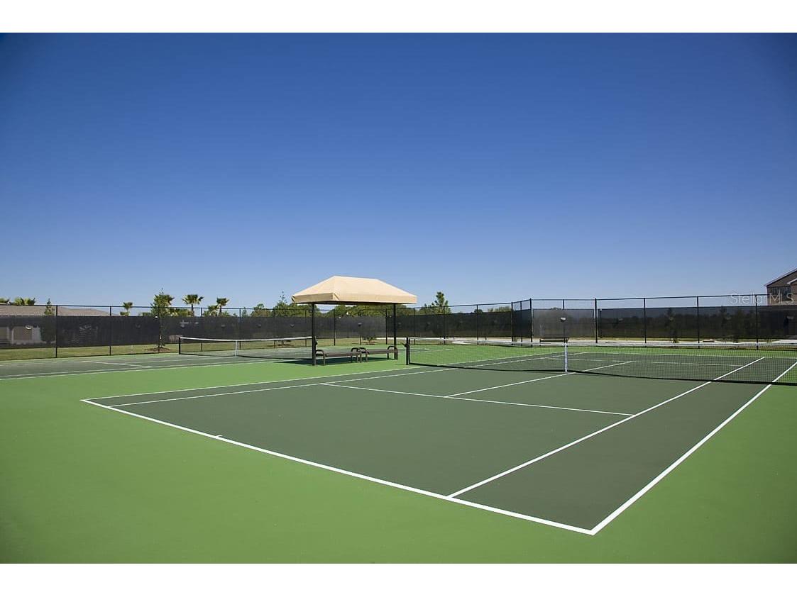 34286 Evergreen Hill Court Wesley Chapel FL 33545 TB8509029 image42