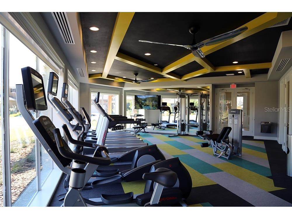 34286 Evergreen Hill Court Wesley Chapel FL 33545 TB8509029 image46