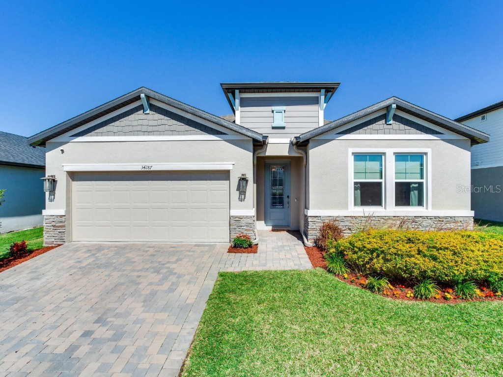 34287 Evergreen Hill Court Wesley Chapel FL 33545 T3519410 image1
