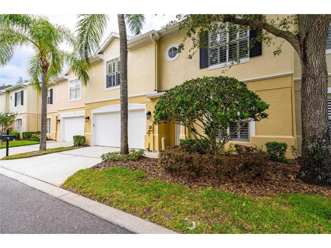 3429 Heards Ferry Drive Tampa FL 33618 T3446872 image1