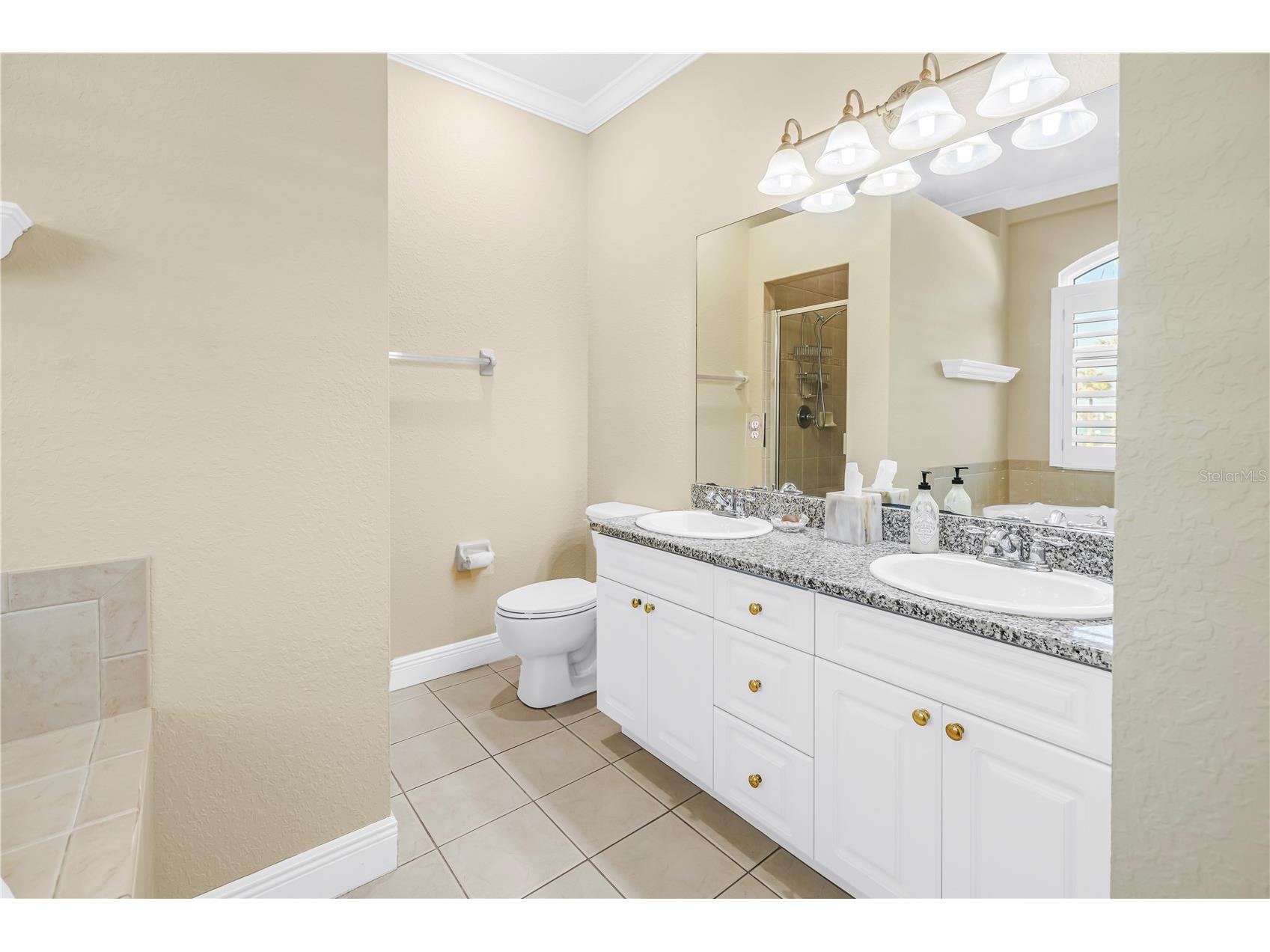343 8th Avenue N Tierra Verde FL 33715 TB8494514 image18