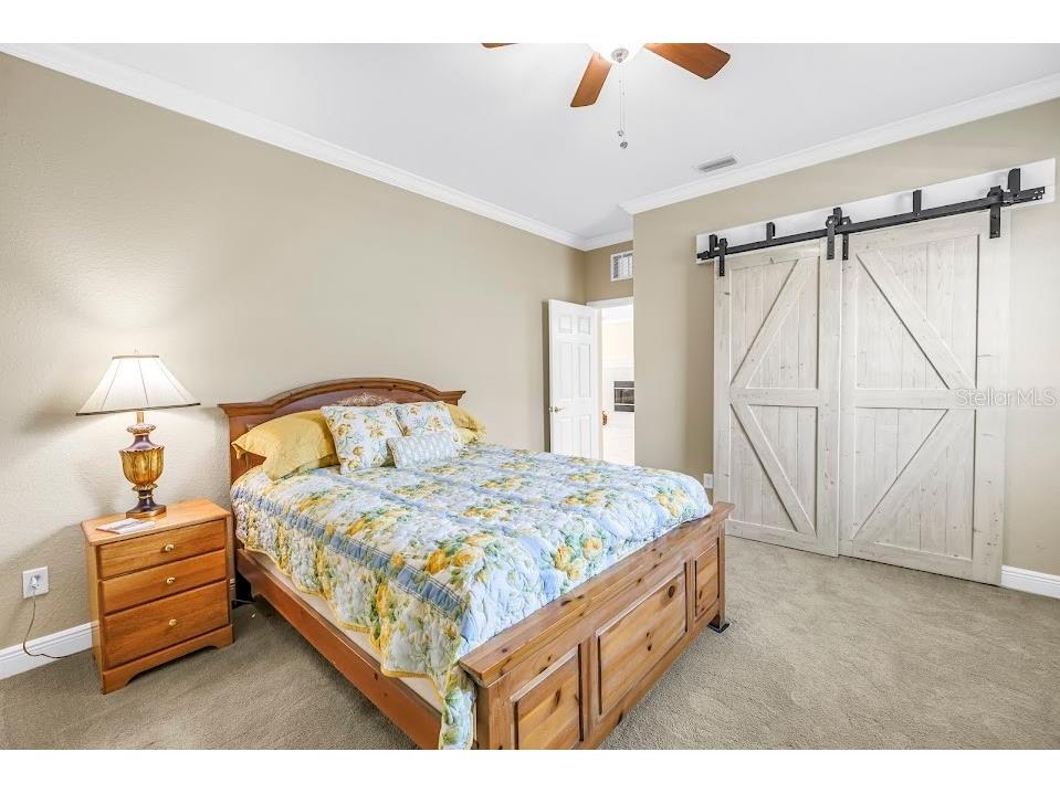 343 8th Avenue N Tierra Verde FL 33715 TB8494514 image20