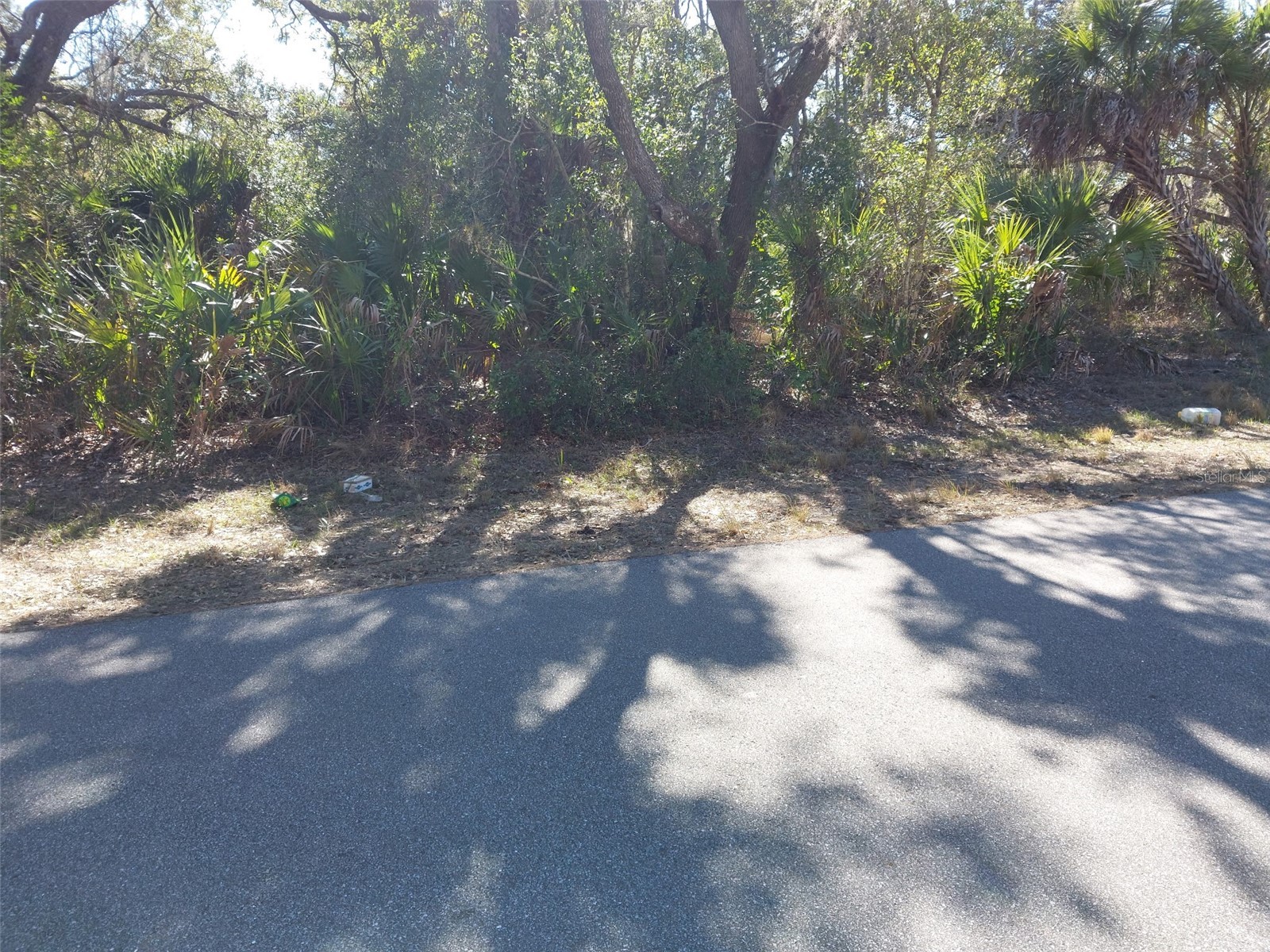 343 Bamboo Drive Port Charlotte FL 33953 D6146102 image1