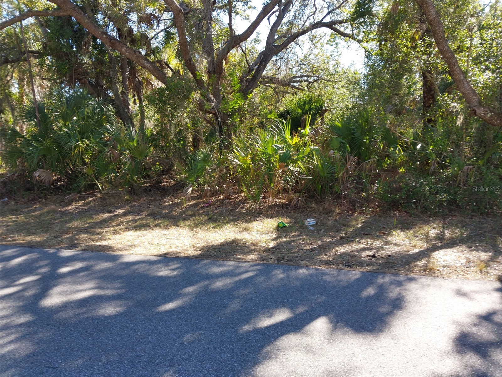 343 Bamboo Drive Port Charlotte FL 33953 D6146102 image2