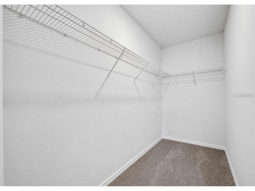 343 Caryota Court New Smyrna Beach FL 32168 O6341495 image4