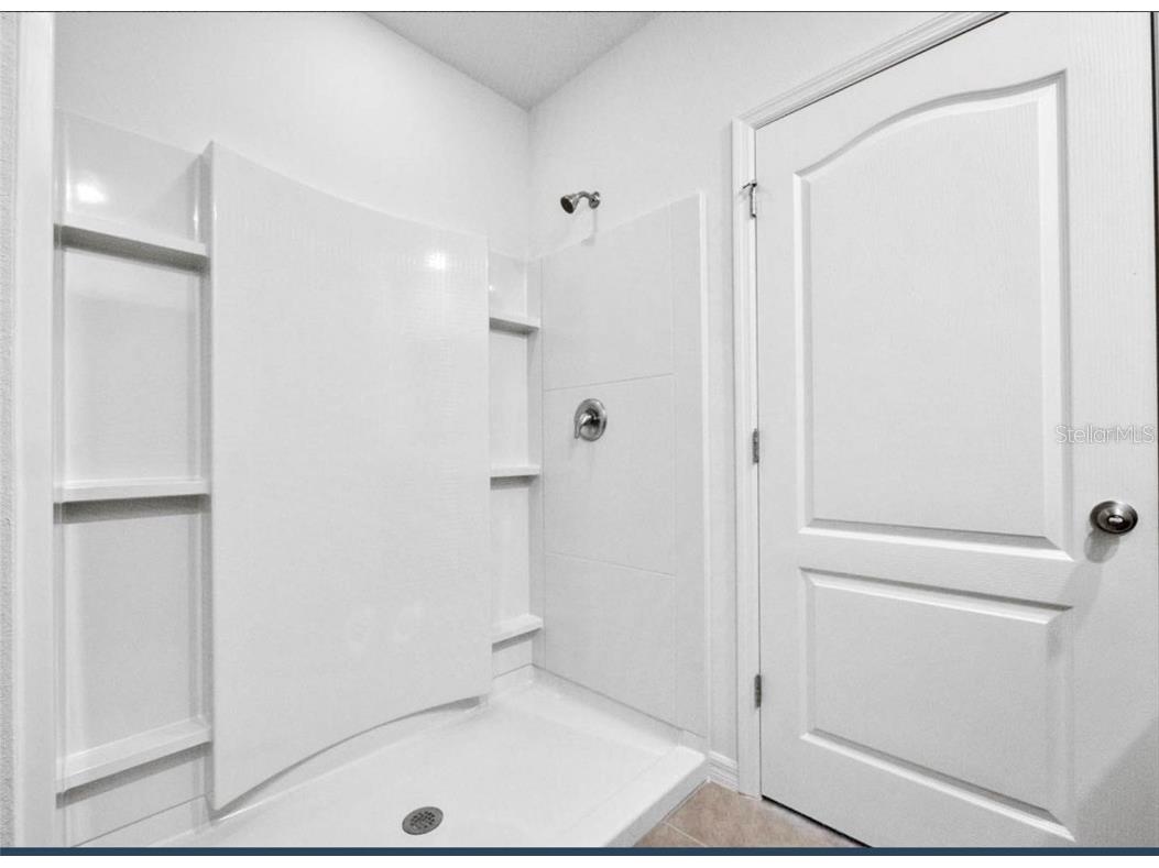 343 Caryota Court New Smyrna Beach FL 32168 O6341495 image5