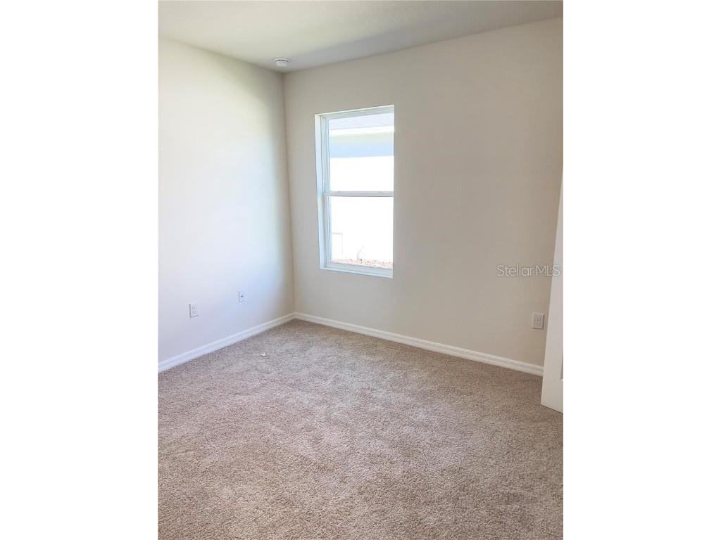 343 Caryota Court New Smyrna Beach FL 32168 O6341495 image8