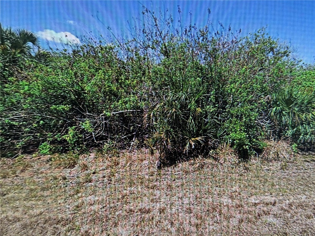 343 Flynn Street Port Charlotte FL 33954 A4671579 image1