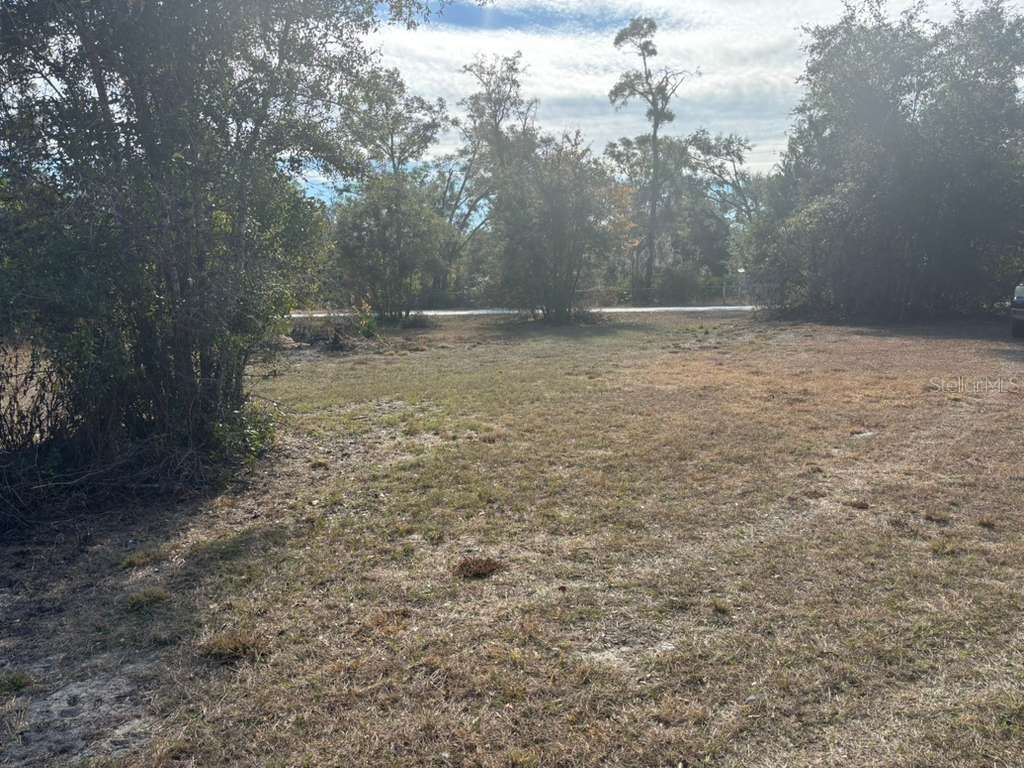 343 NE 884th Avenue Old Town FL 32680 TB8457927 image17