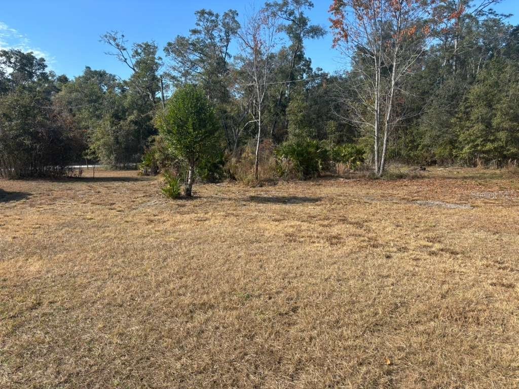 343 NE 884th Avenue Old Town FL 32680 TB8457927 image20