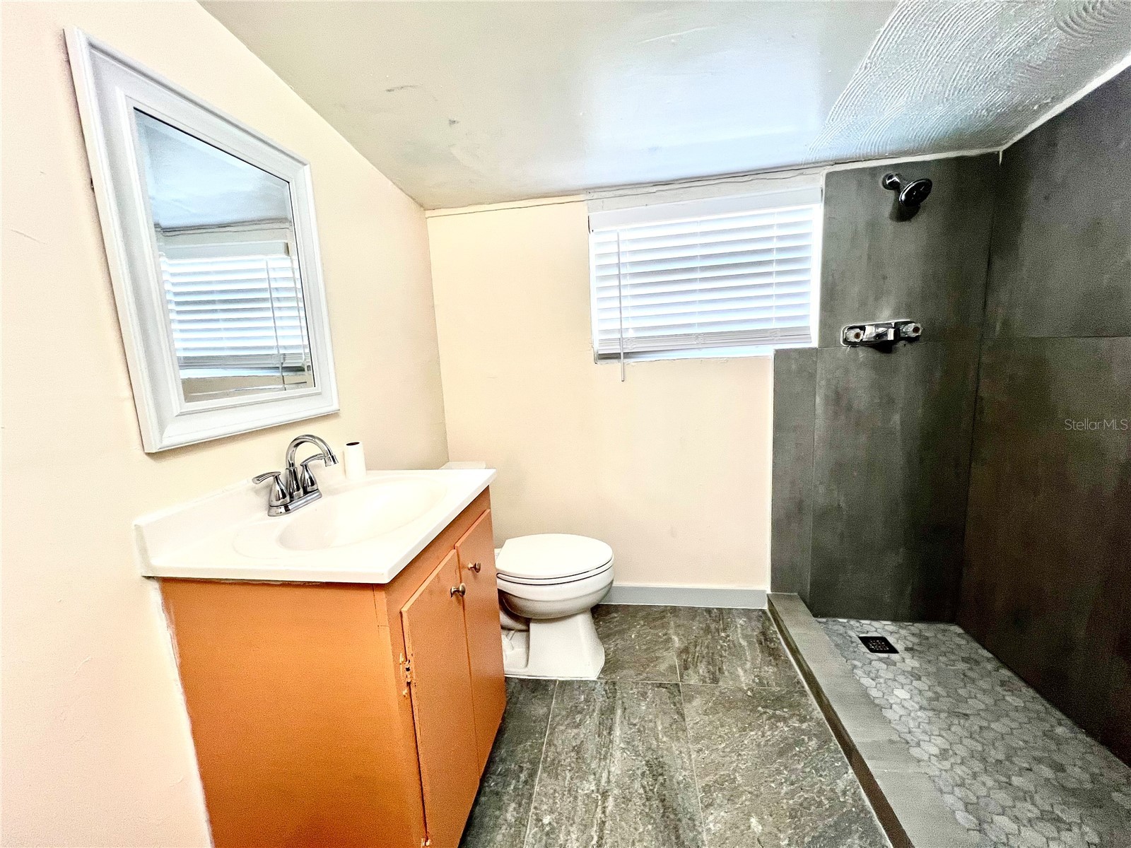 343 Weaver Avenue Lake Wales FL 33853 S5146233 image27