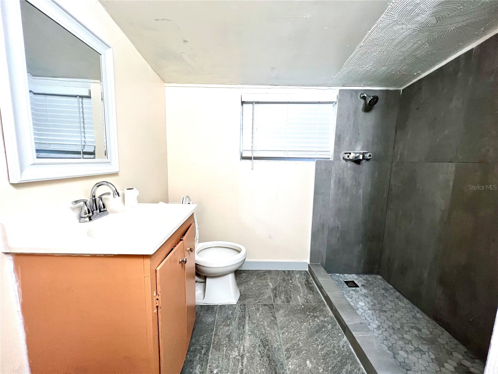 343 Weaver Avenue Lake Wales FL 33853 S5146233 image7