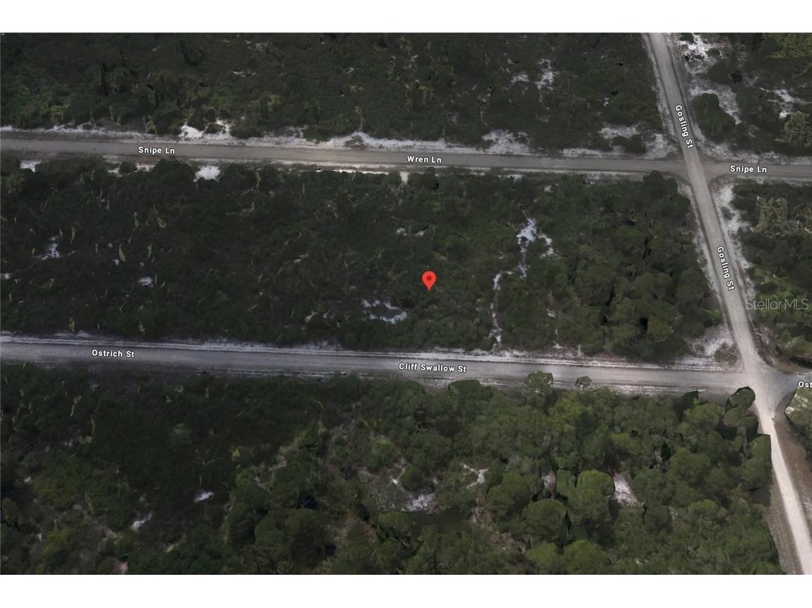 3430 Cliff Swallow Street Lake Placid FL 33852 C7505131 image1