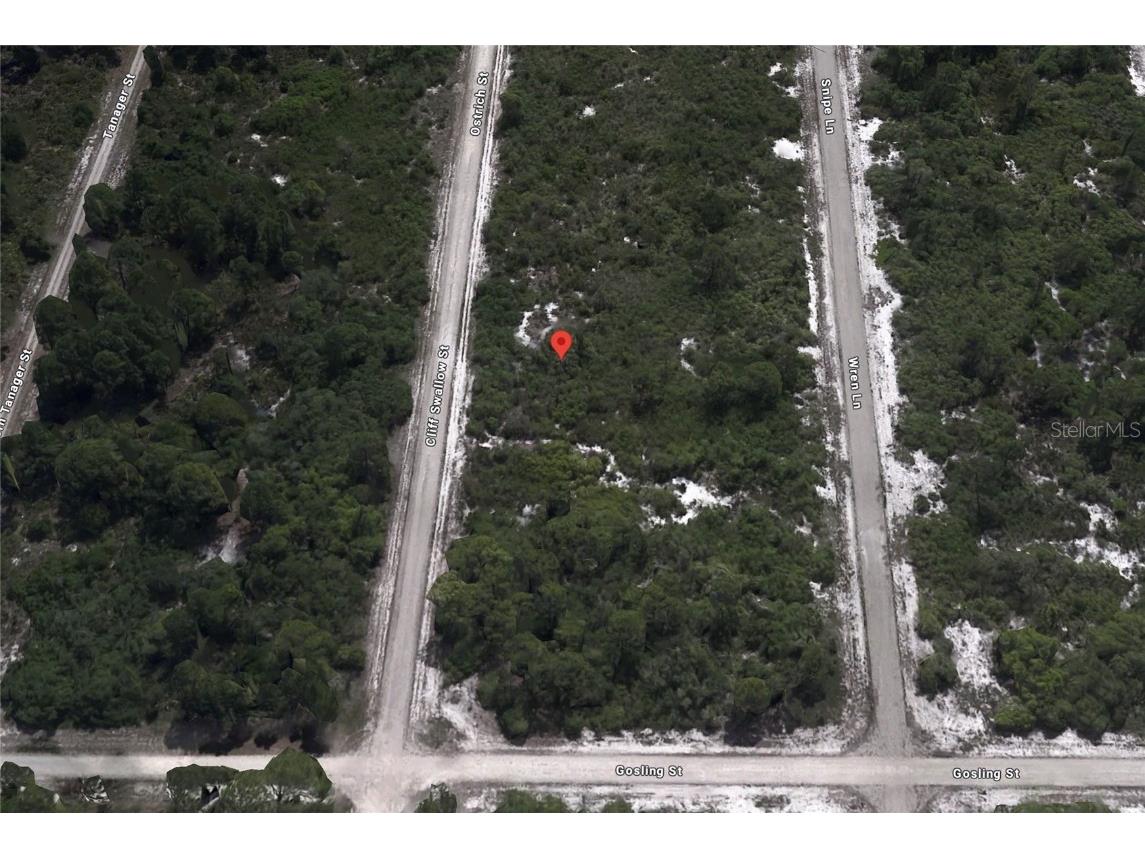 3430 Cliff Swallow Street Lake Placid FL 33852 C7505131 image2