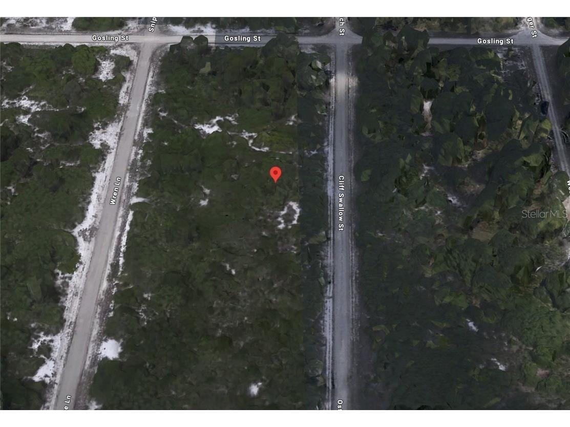 3430 Cliff Swallow Street Lake Placid FL 33852 C7505131 image3