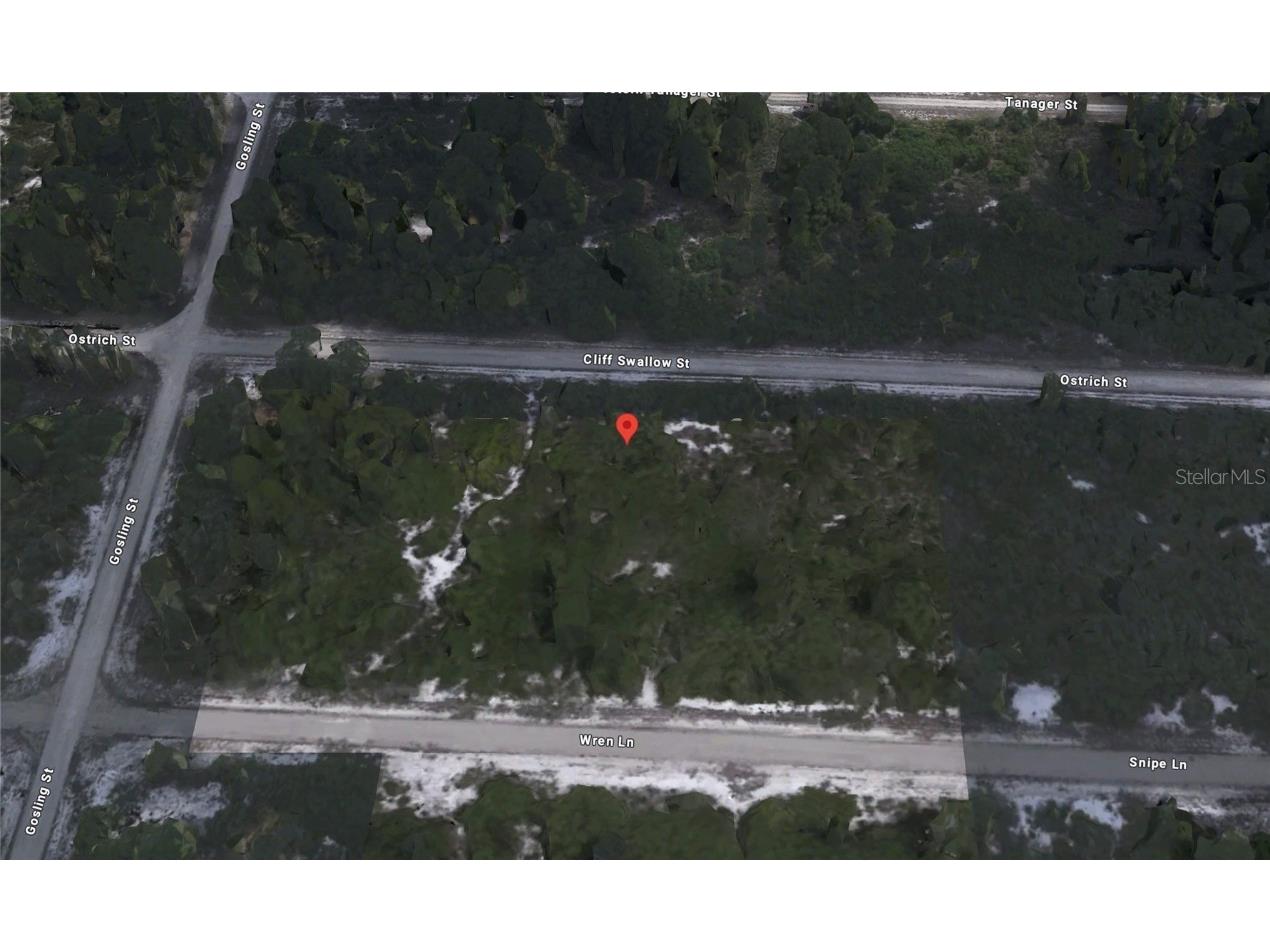 3430 Cliff Swallow Street Lake Placid FL 33852 C7505131 image4