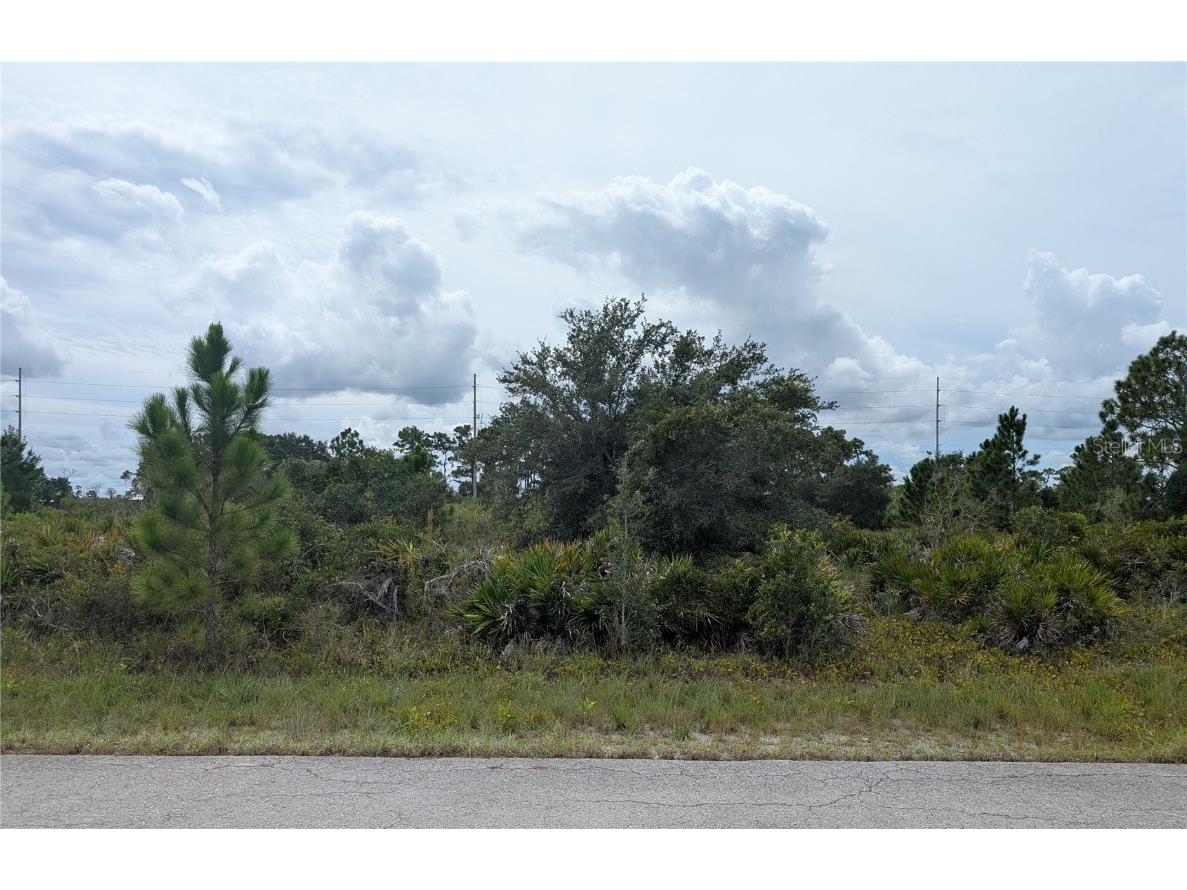 3430 Gerber Avenue Lake Placid FL 33852 L4955661 image1