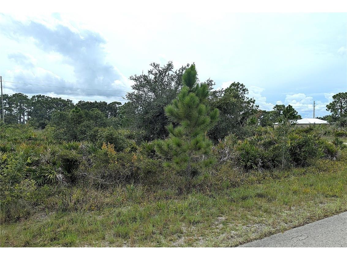 3430 Gerber Avenue Lake Placid FL 33852 L4955661 image2