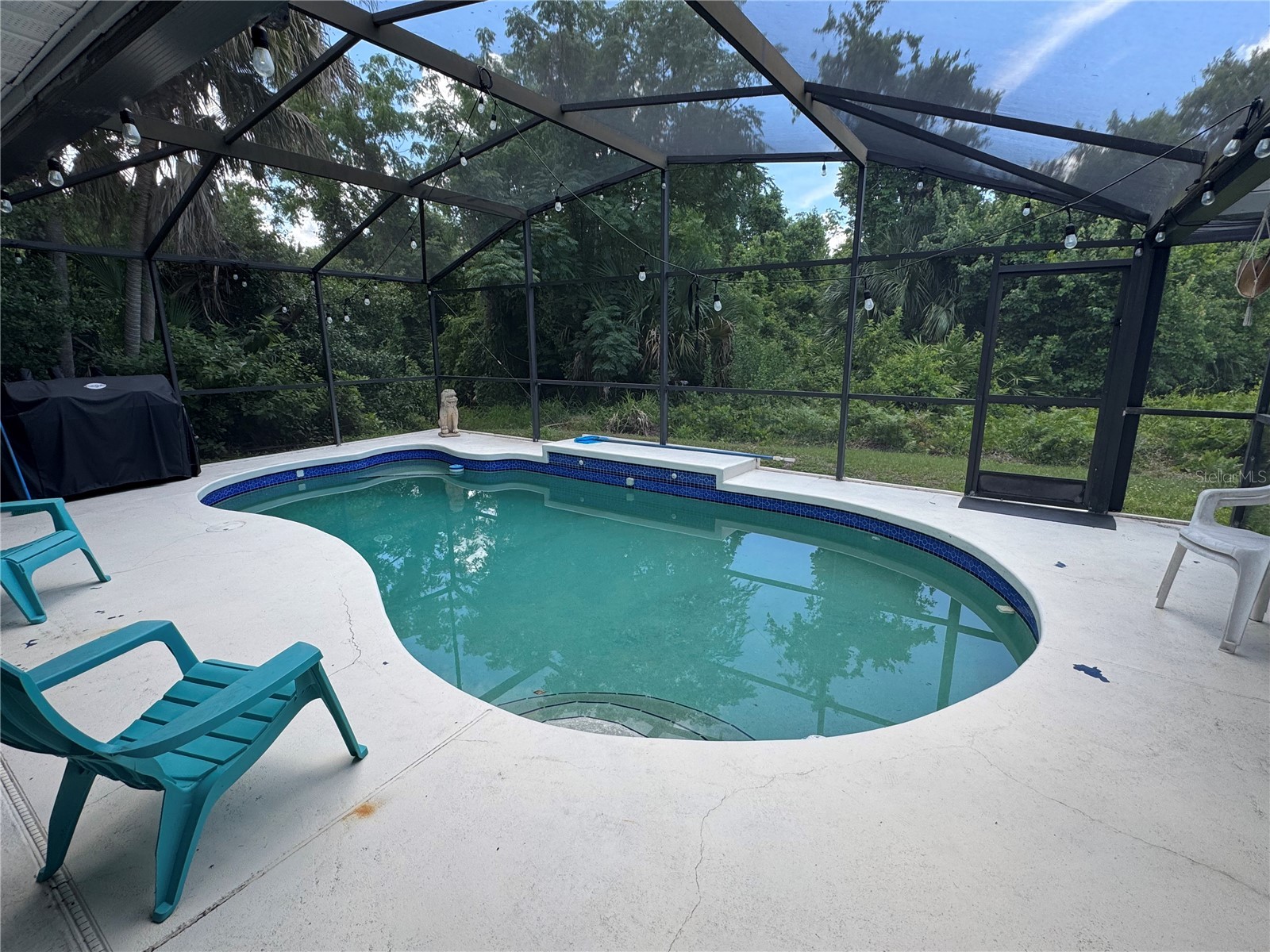 3430 Hawkin Drive Kissimmee FL 34746 S5150098 image31