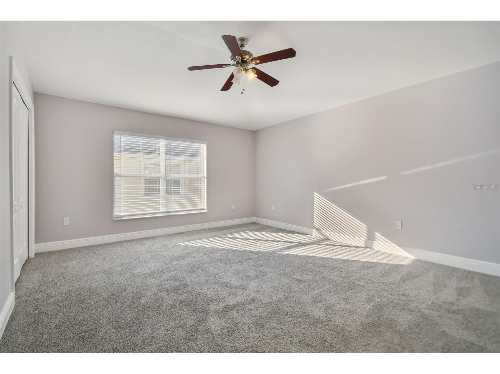 3430 High Hampton Circle Tampa FL 33610 TB8495496 image21