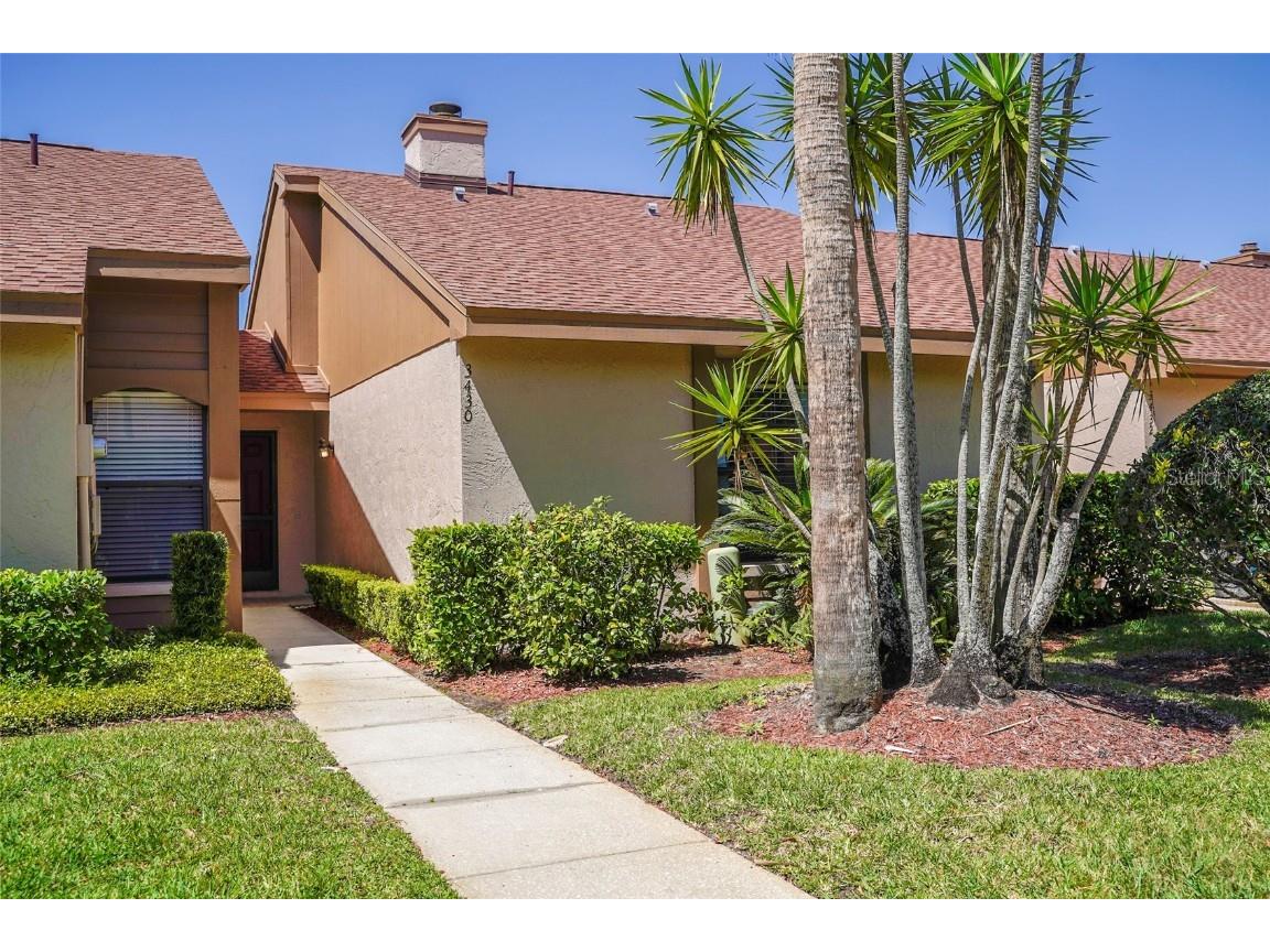 3430 Hillmoor Drive Palm Harbor FL 34685 O6015614 image1