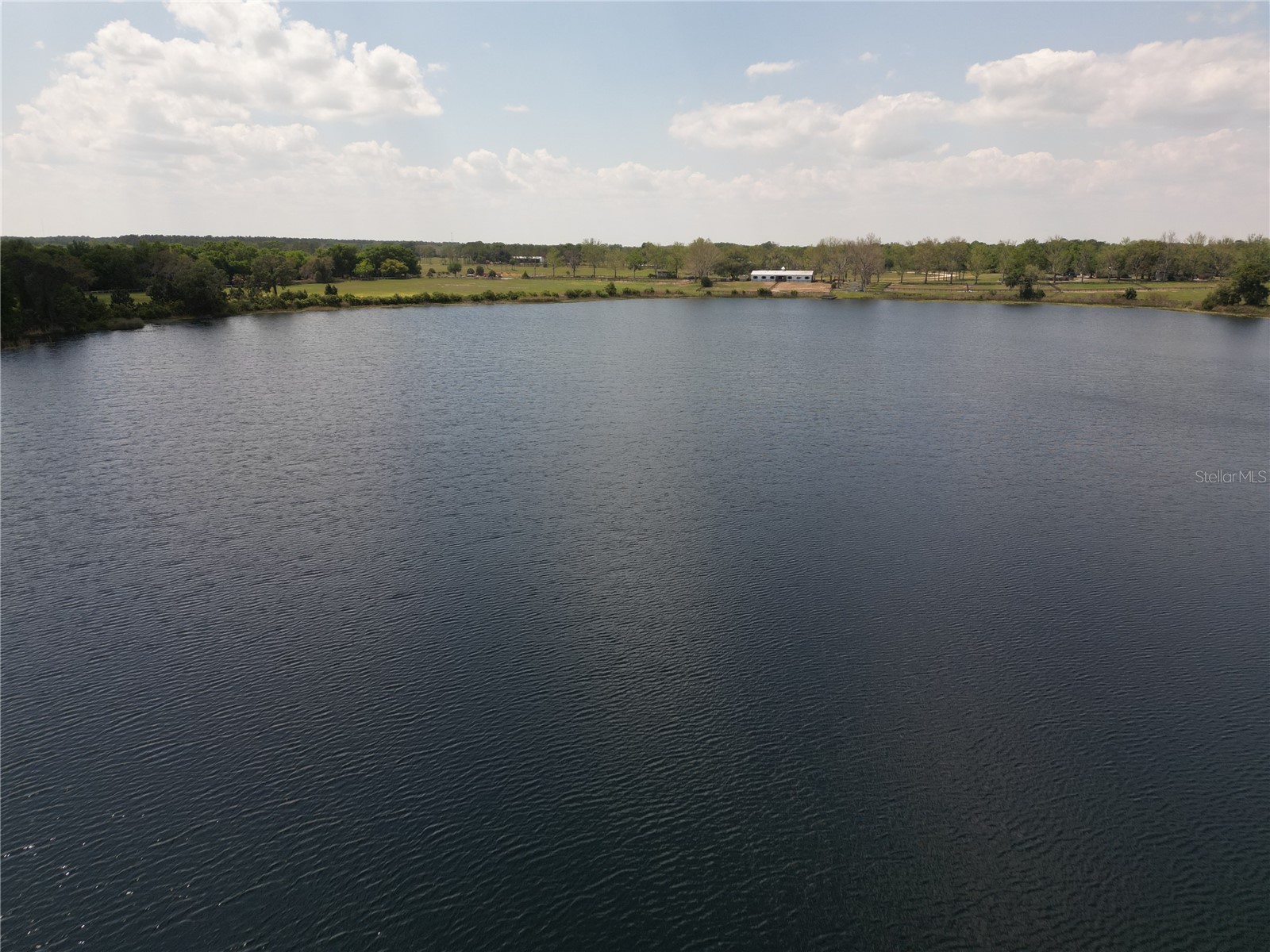 3430 Lake Diane Road Tavares FL 32778 - HARRIS CHAIN OF LAKES S5146781 image3