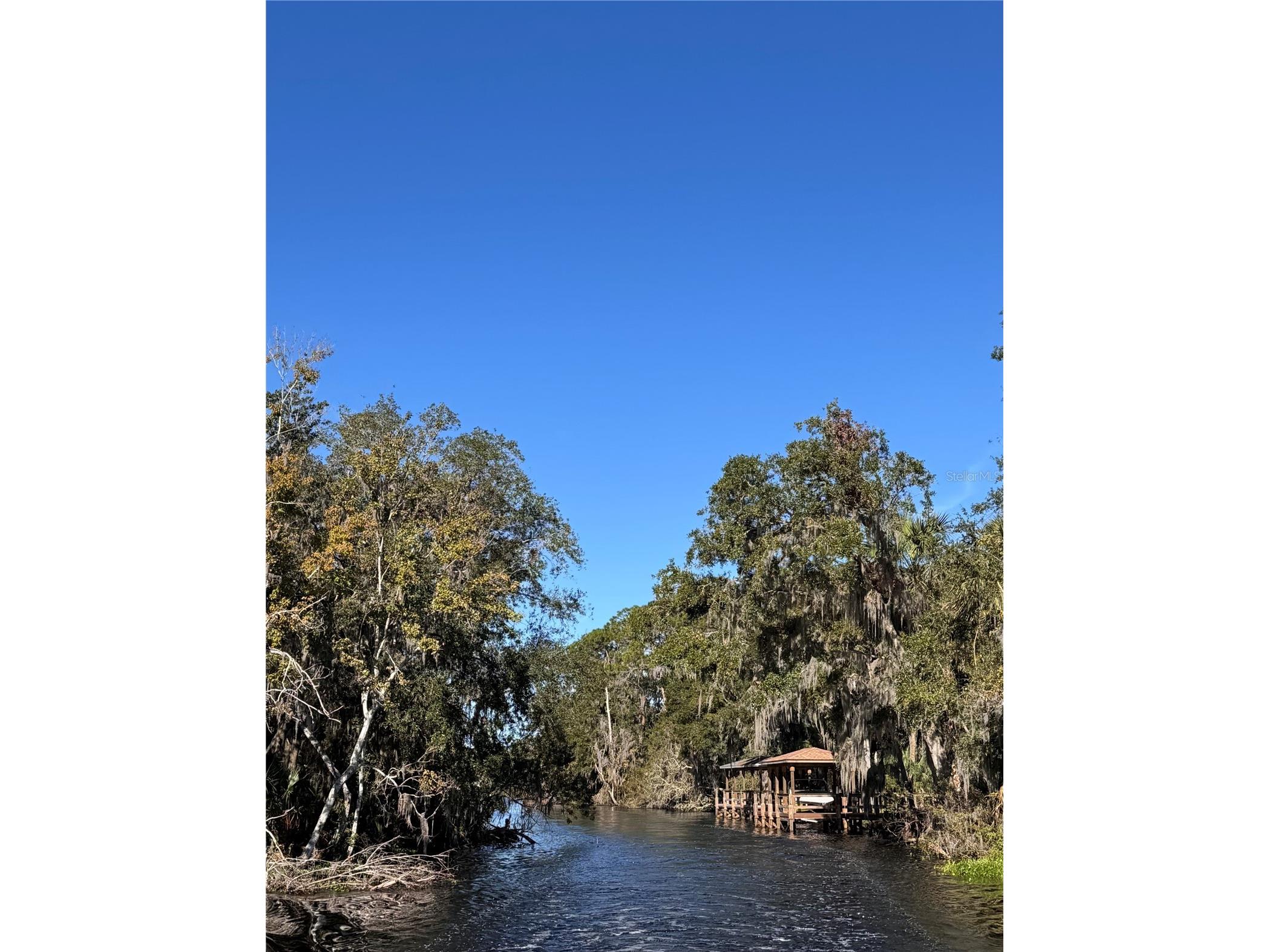 3430 Lake Diane Road Tavares FL 32778 - LAKE / HARRIS CHAIN OF LAKES S5147301 image16