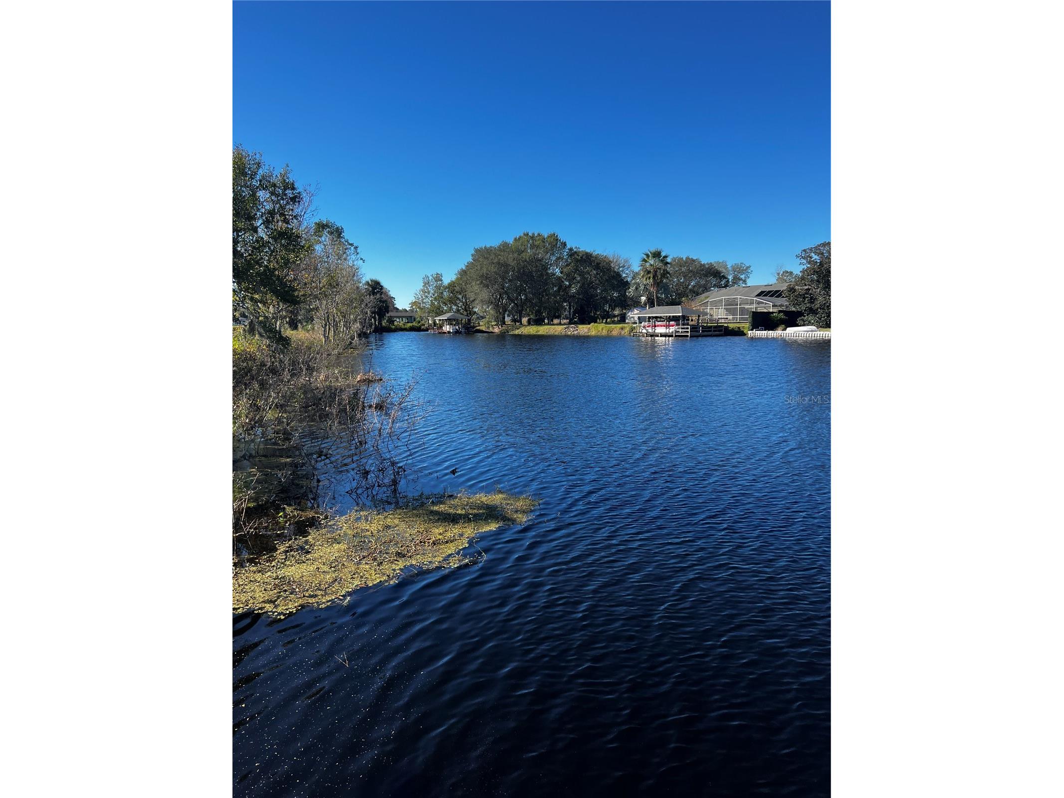 3430 Lake Diane Road Tavares FL 32778 - LAKE / HARRIS CHAIN OF LAKES S5147301 image17
