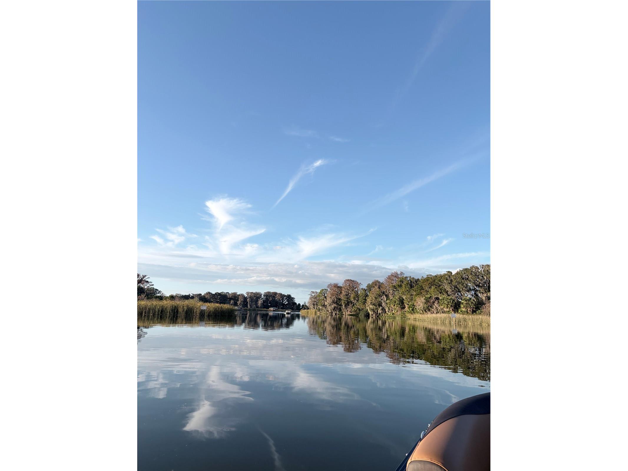 3430 Lake Diane Road Tavares FL 32778 - LAKE / HARRIS CHAIN OF LAKES S5147301 image21