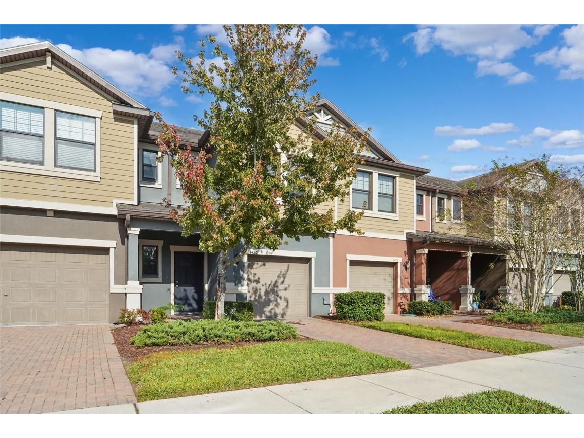 3430 Pine Ribbon Drive Land O Lakes FL 34638 TB8449366 image4