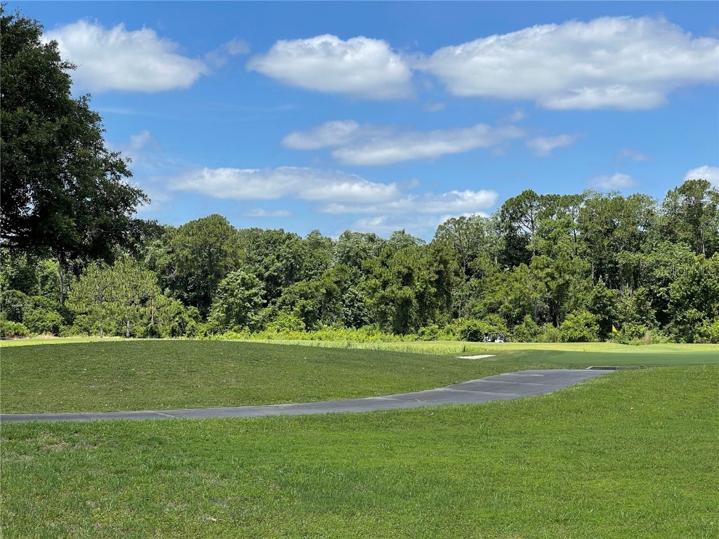 3430 Sagebrush Street Harmony FL 34773 O6363591 image16