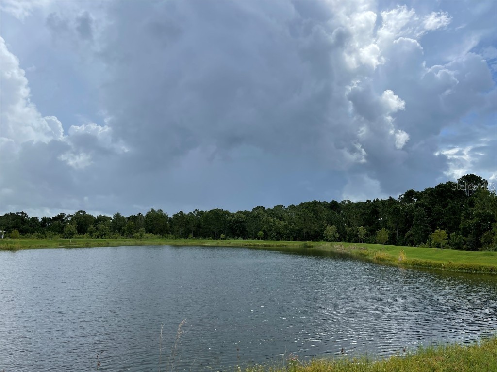 3430 Sagebrush Street Harmony FL 34773 O6363591 image9