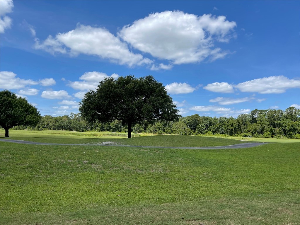 3430 Sagebrush Street Harmony FL 34773 O6364782 image17