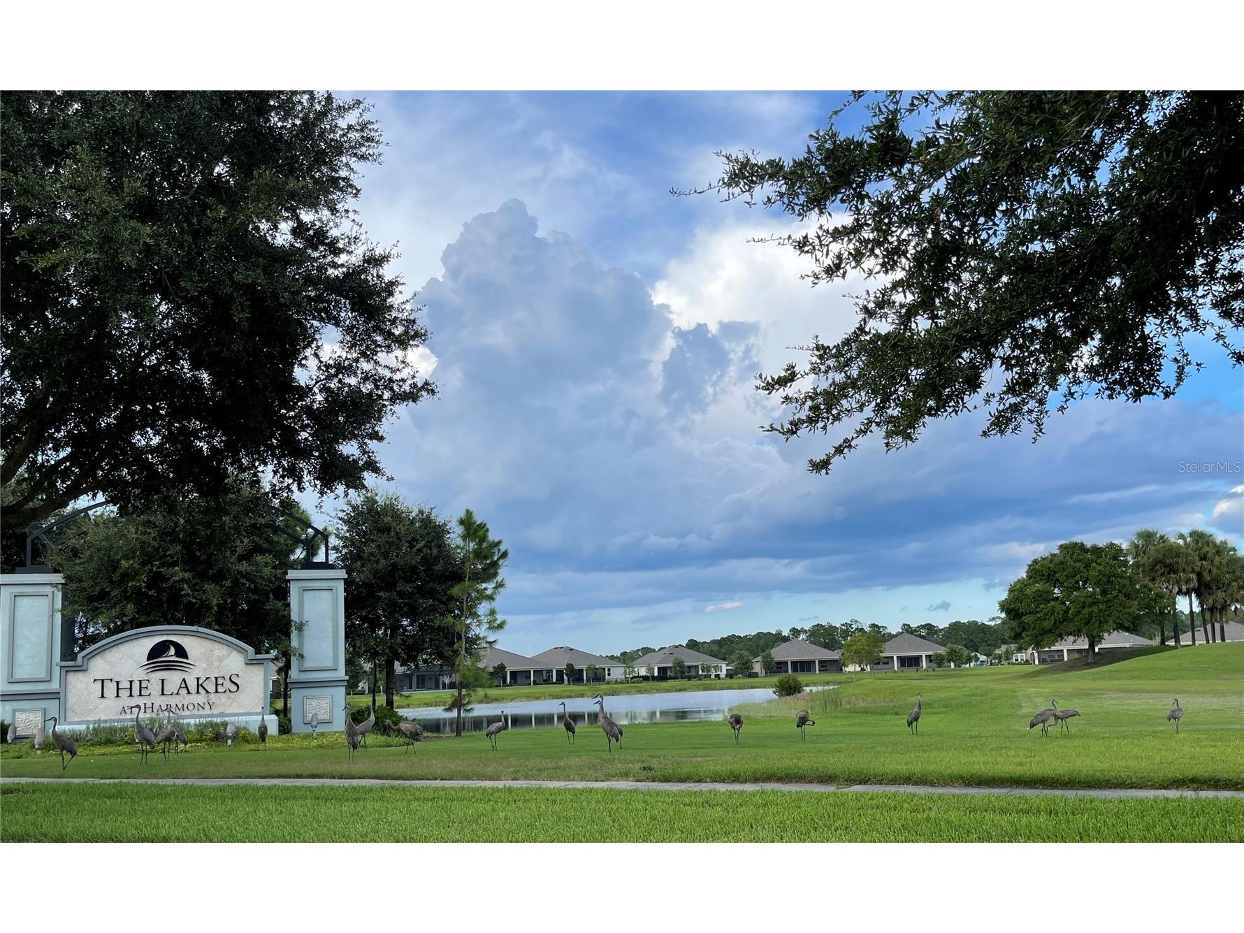 3430 Sagebrush Street Harmony FL 34773 O6423629 image17
