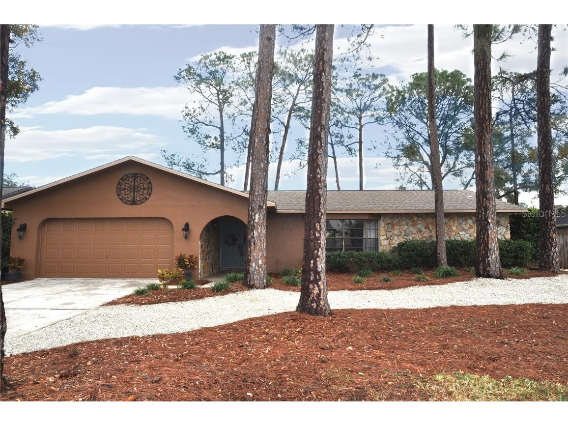 3430 Tarpon Woods Boulevard Palm Harbor FL 34685 TB8341386 image1