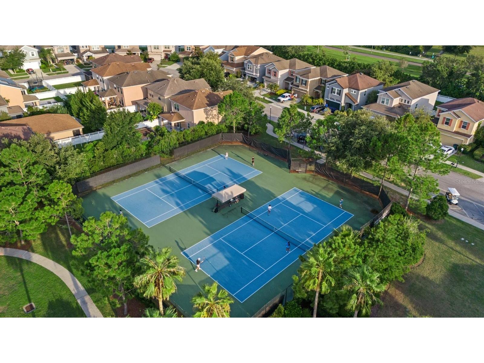 34303 Radley Way Wesley Chapel FL 33545 TB8505263 image44
