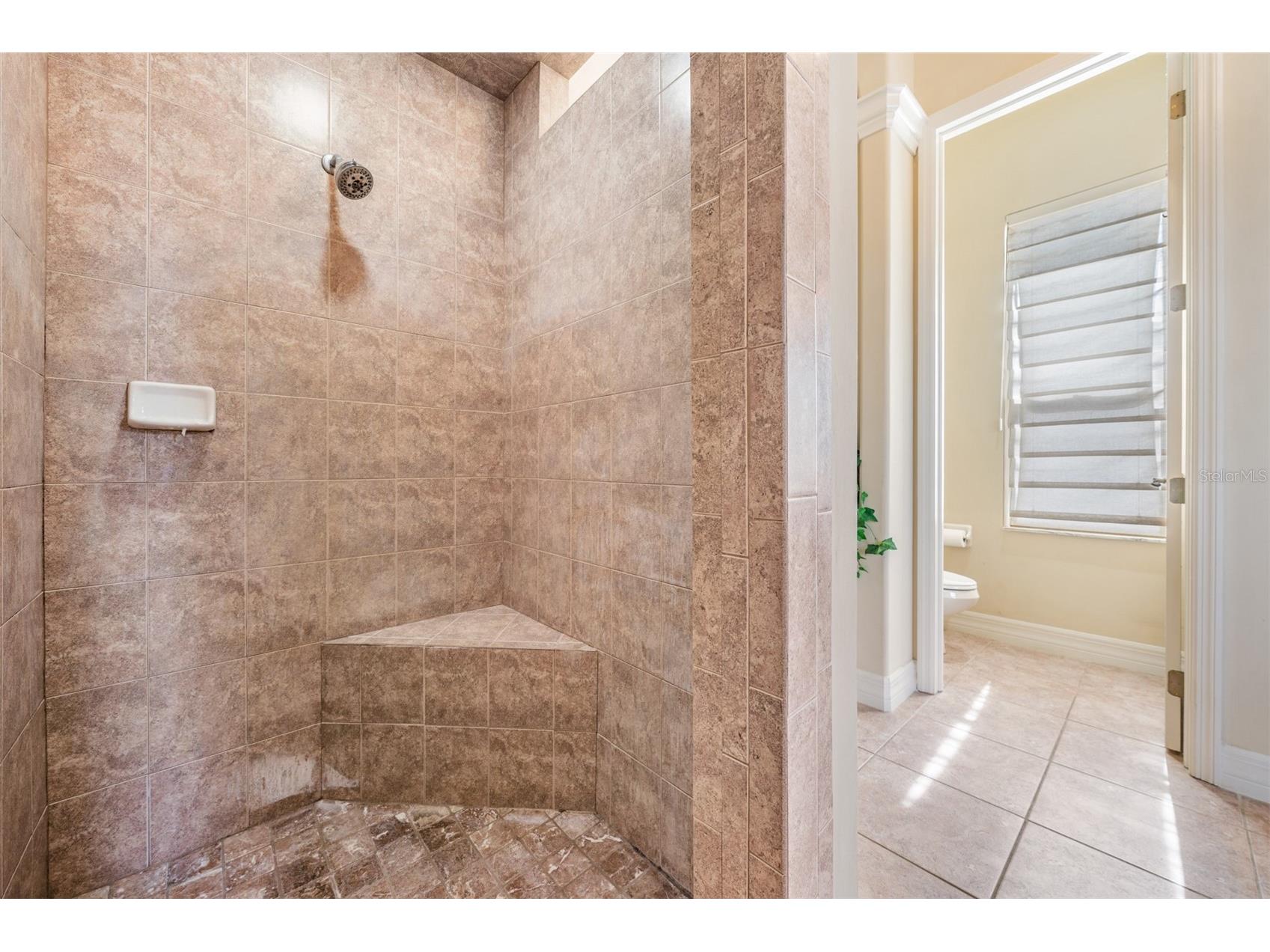 34303 Sahalee Loop Dade City FL 33525 TB8420325 image46