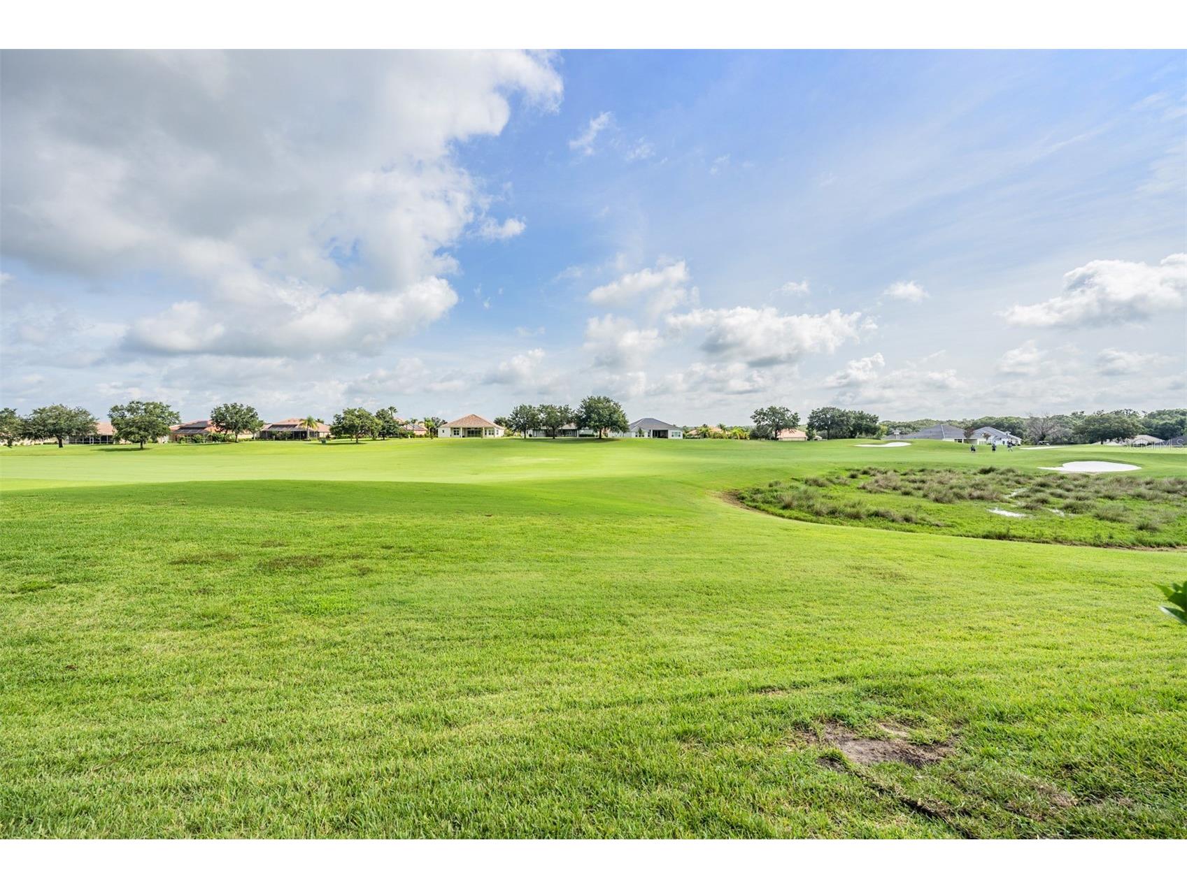 34303 Sahalee Loop Dade City FL 33525 TB8420325 image5