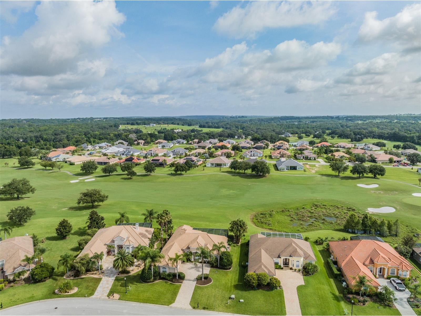 34303 Sahalee Loop Dade City FL 33525 TB8420325 image64