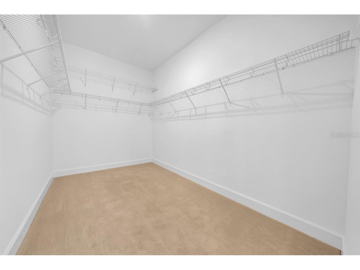 34307 Radley Way Wesley Chapel FL 33545 TB8424061 image24