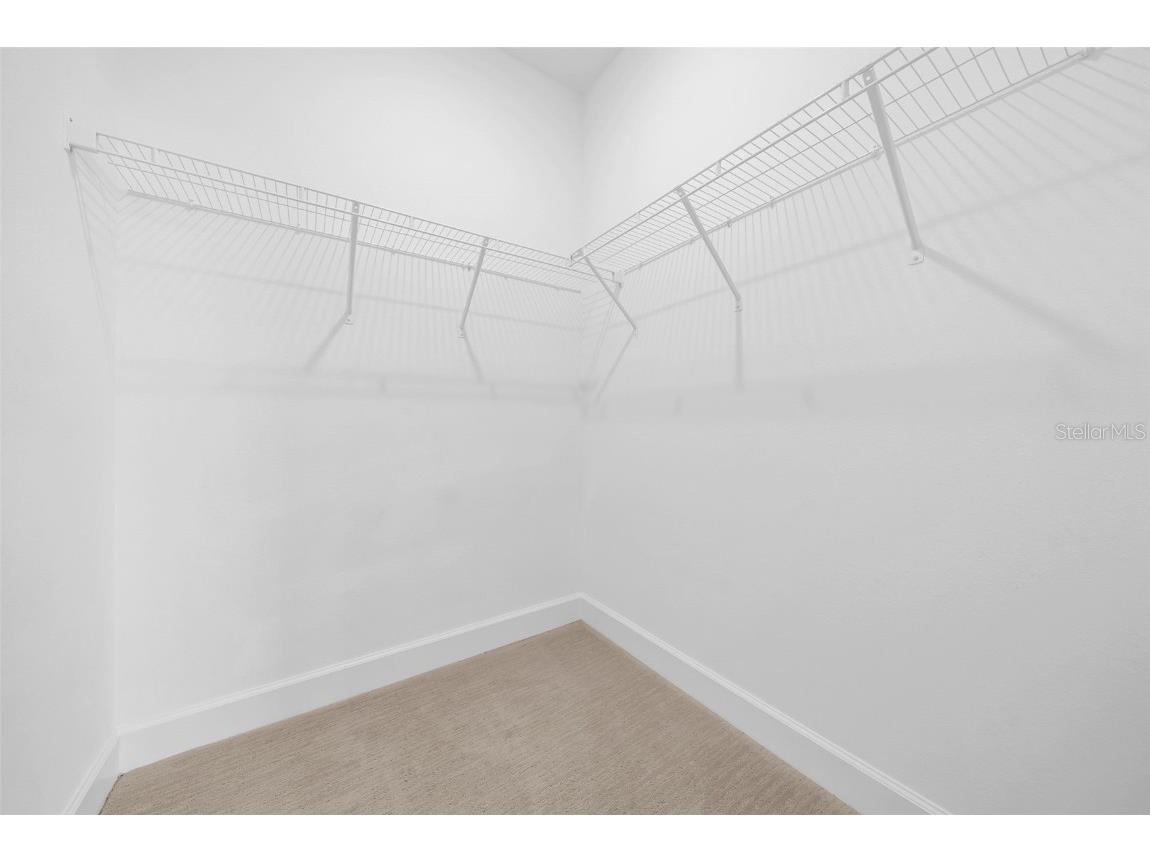 34307 Radley Way Wesley Chapel FL 33545 TB8424061 image28