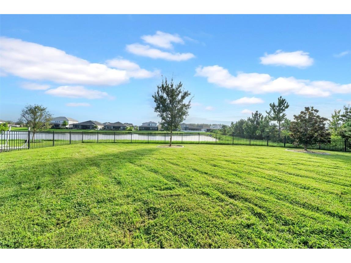 34307 Radley Way Wesley Chapel FL 33545 TB8424061 image36