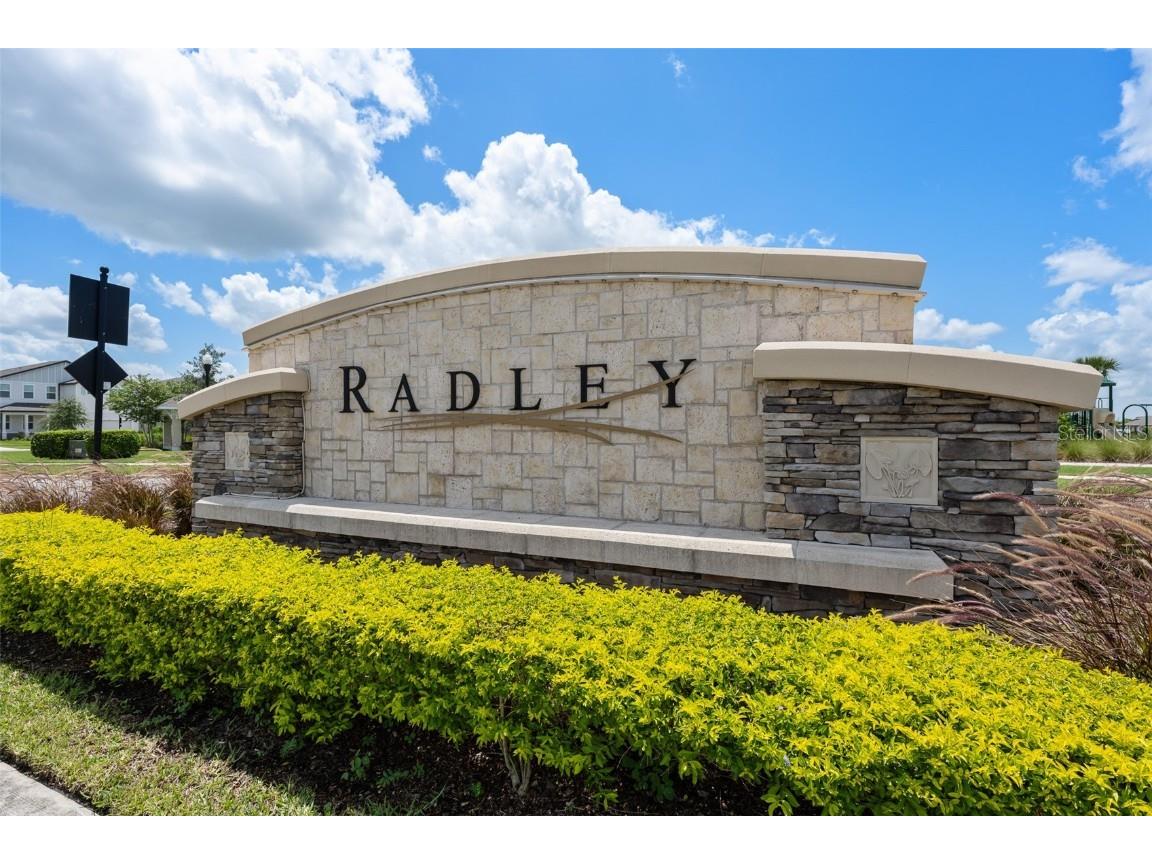 34307 Radley Way Wesley Chapel FL 33545 TB8424061 image46